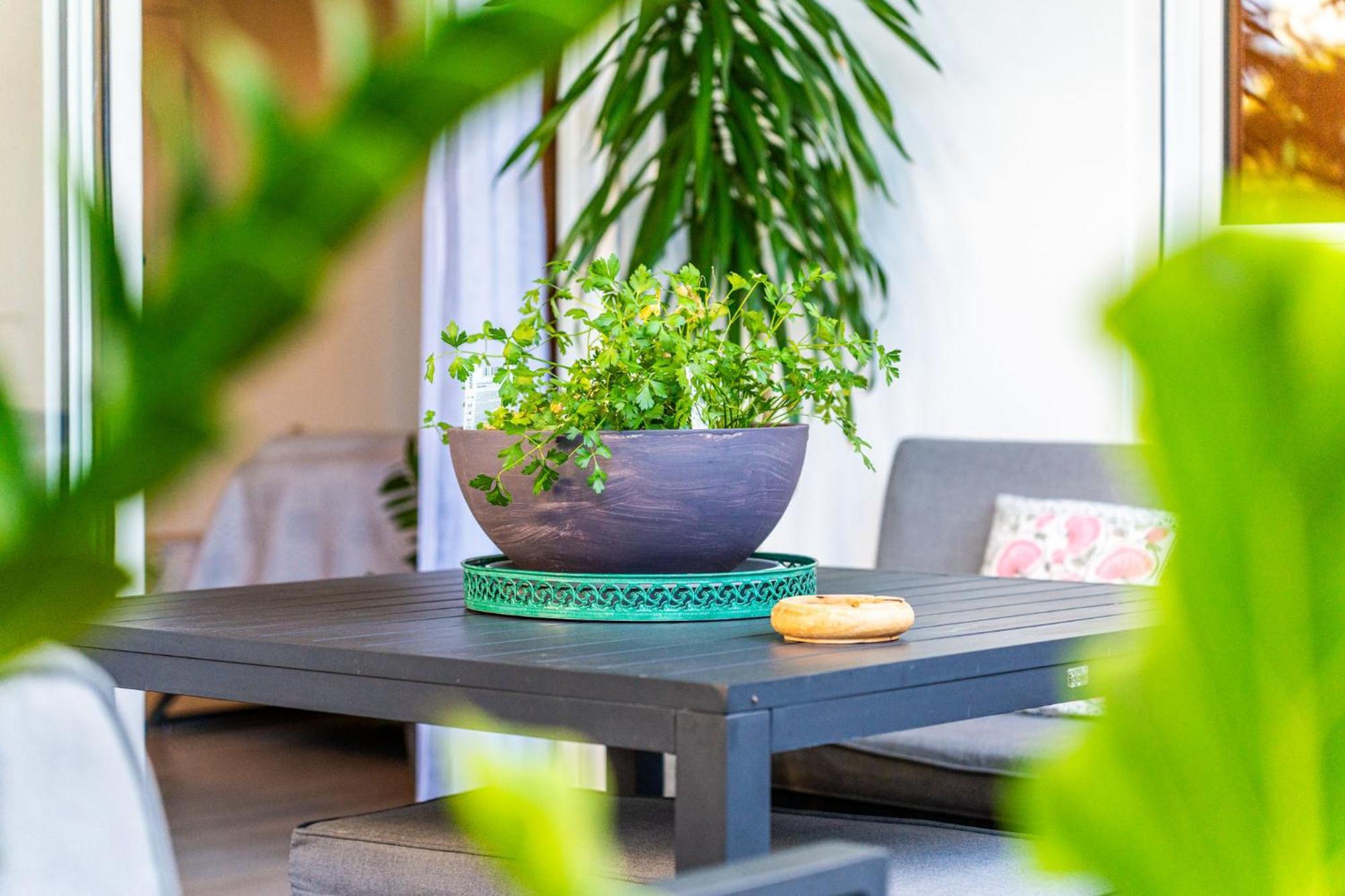 Sharma Appartt3-St Gilles Saint-Gilles-les Bains Ngoại thất bức ảnh