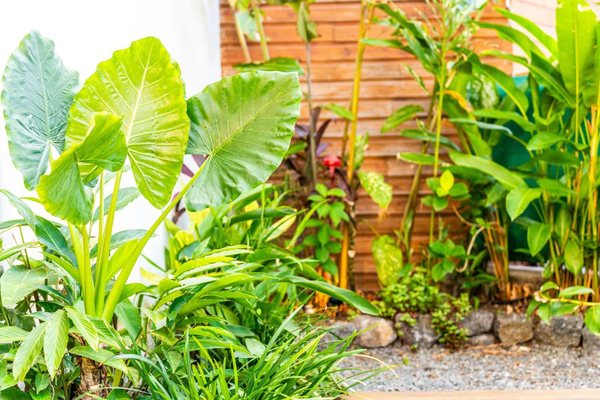 Sharma Appartt3-St Gilles Saint-Gilles-les Bains Ngoại thất bức ảnh